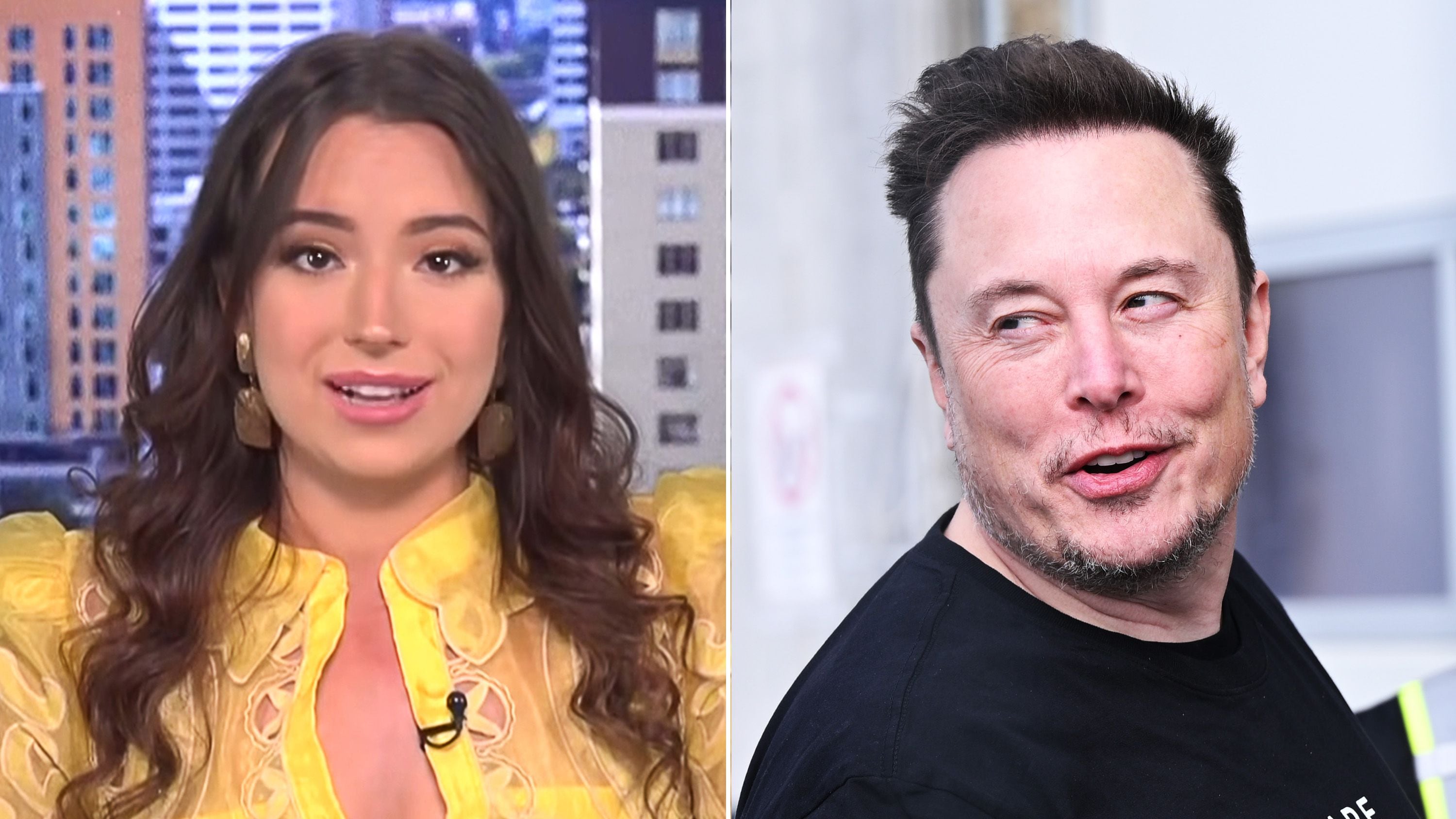 Ashley St. Clair and Elon Musks Baby Drama Is Playing Out on Twitter