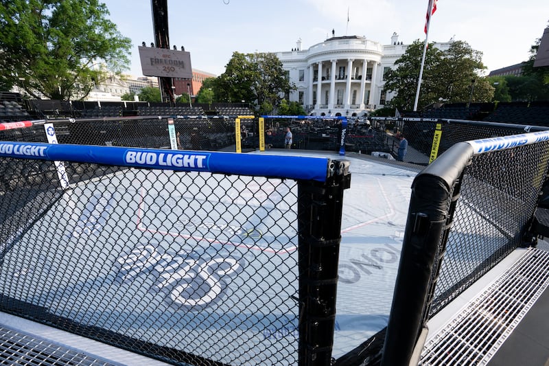 "The Octagon" fighting enclosure includes Bud Light signage.