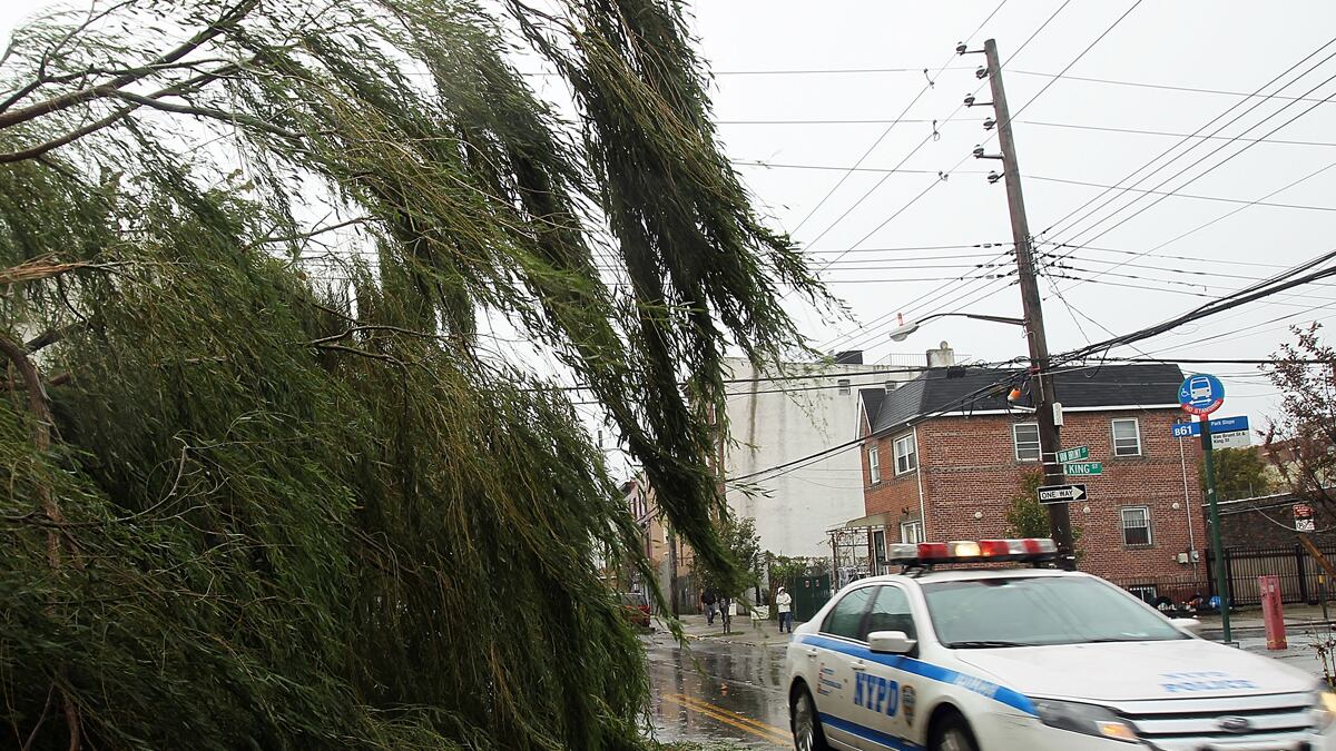 articles/2012/10/30/residents-in-red-hook-brooklyn-assess-the-damage-after-sandy/red-hook-damage-shapiro_srxmqx