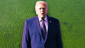 A photo illo illustration of Trump and algae in the D.C. Reflecting Pool.
