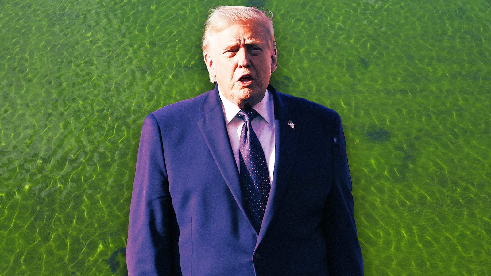 A photo illo illustration of Trump and algae in the D.C. Reflecting Pool.