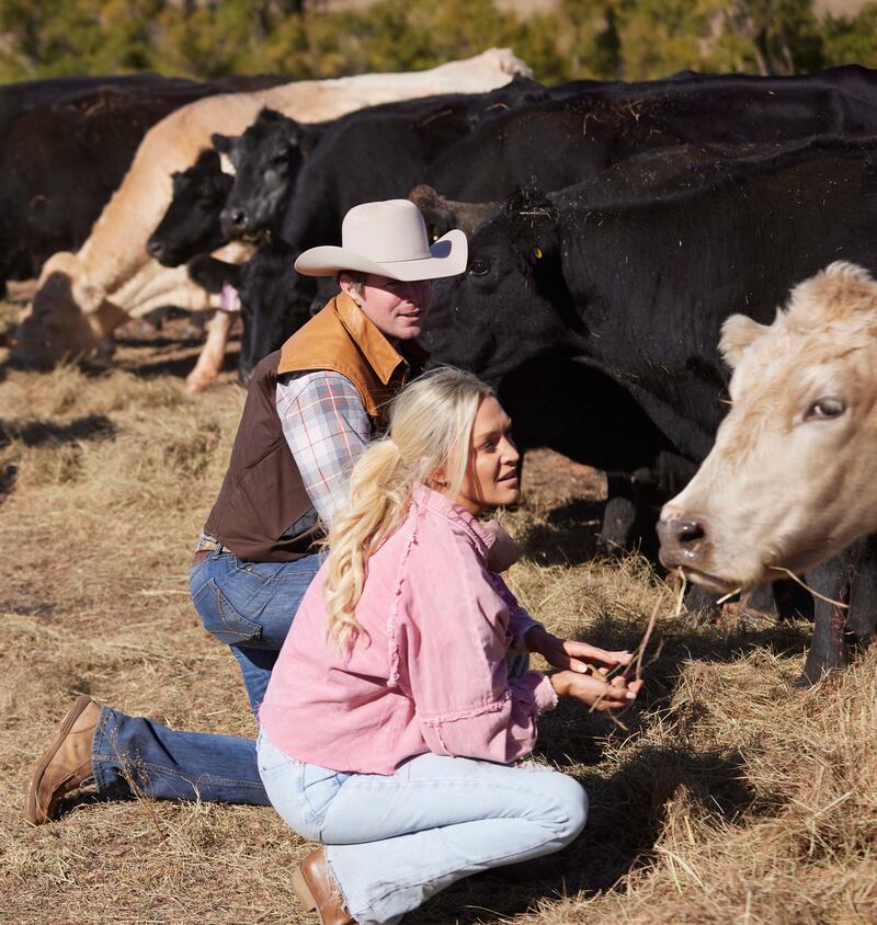 FWAW102_FEEDINGCOWS_DS0025_f_f_ofnqqt