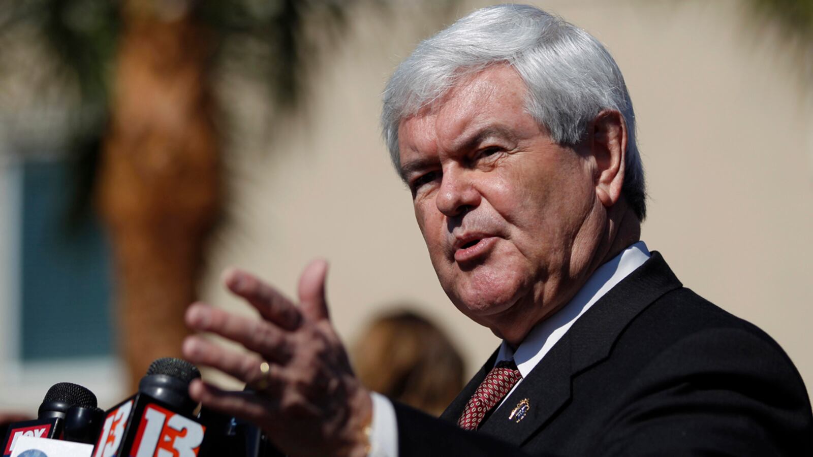 cheats/2012/01/30/gingrich-doesn-t-like-romney-but-he-d-vote-for-him/newt-says-roney-mislead-country-cs_hews83