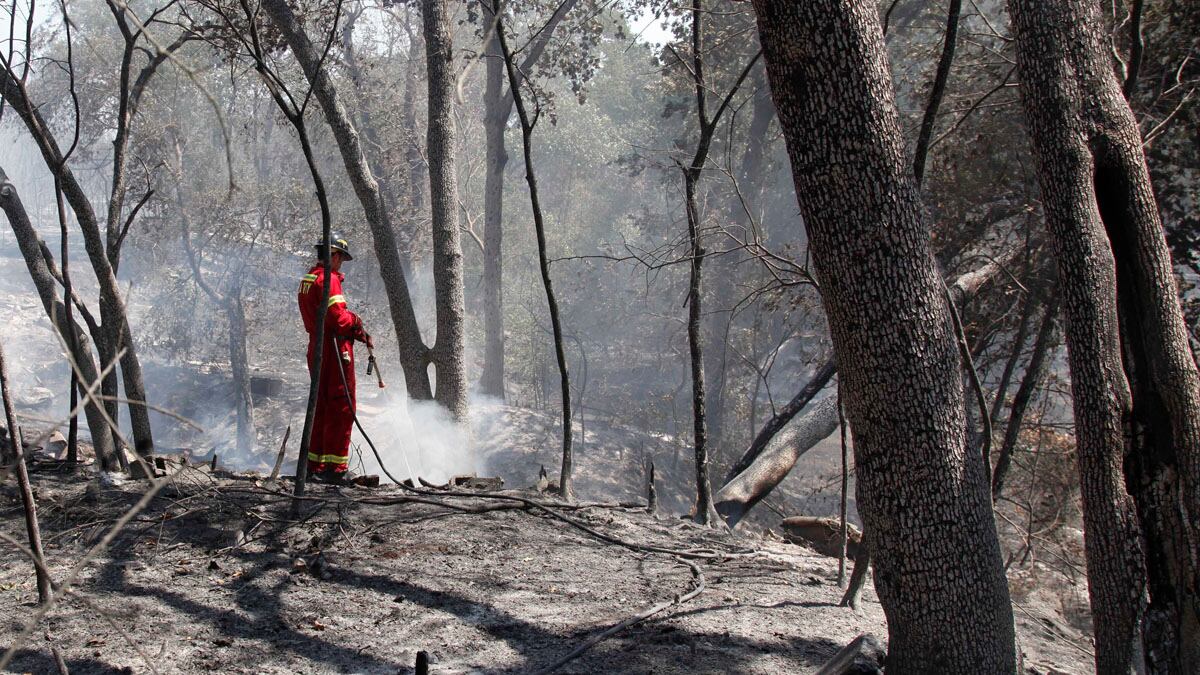 cheats/2011/08/31/texas-oklahoma-fires-force-evacuations/oklahoma-fires-cs_ei5eqp