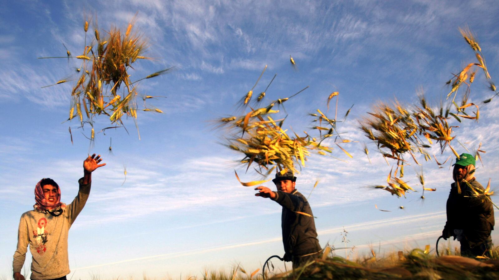 cheats/2013/05/04/google-recognizes-palestine/130504-palestine-google-page-cheat_obvope