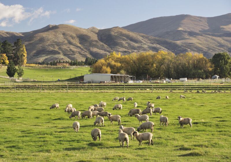 galleries/2011/05/31/10-most-outrageous-high-school-summer-programs/expensive-summer-camps---new-zealand_wylup3