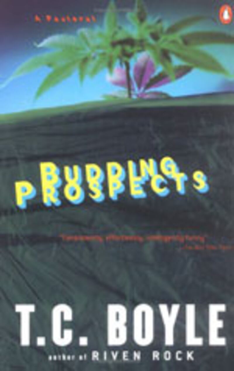 articles/2010/04/20/the-best-stoner-novels/book-cover---budding-prospects_laypqw