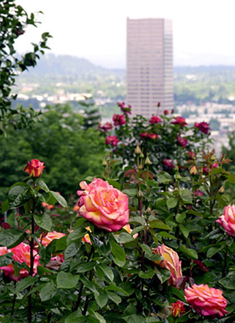 galleries/2010/10/23/smartest-cities/smartest-cities---portland_ktmp0c