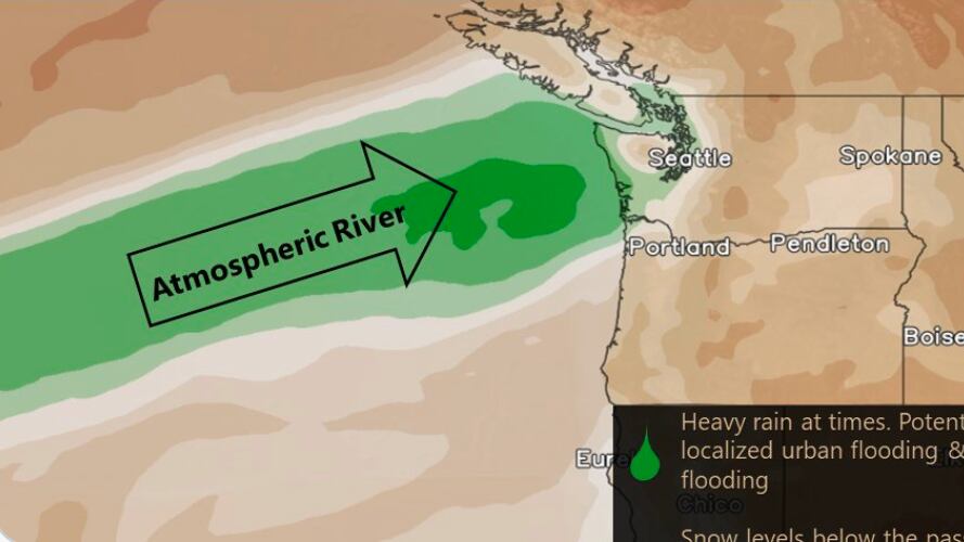 Screen_Shot_2021-02-21_at_14.19.37_kusspz