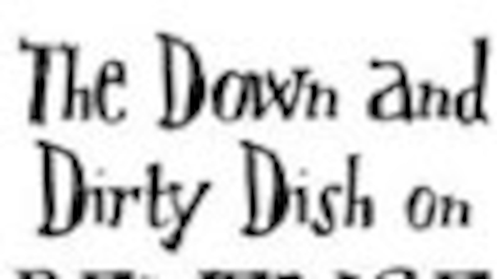 articles/2009/06/16/the-daily-beast-recommends-14/book-highlight---the-down-and-dirty-dish-on-revenge_t3dhxt