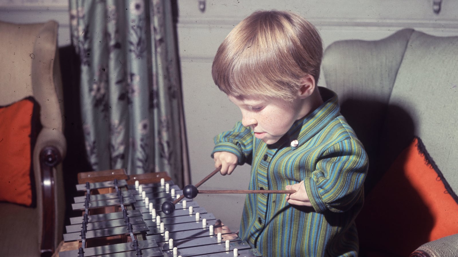 articles/2014/04/07/tracing-the-blue-light-read-chapter-1-of-eileen-cronin-s-mermaid/140407-mermaid-except_xgkc0r