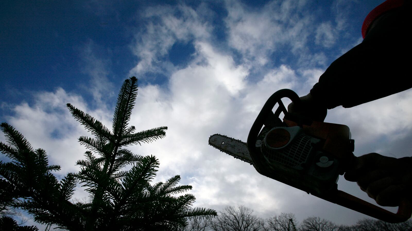 2008-12-02T120000Z_159120421_LM1E4C213Q801_RTRMADP_3_BRITAIN_yyhtcc