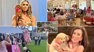 Mar a lago, Big Dog Ranch Rescue