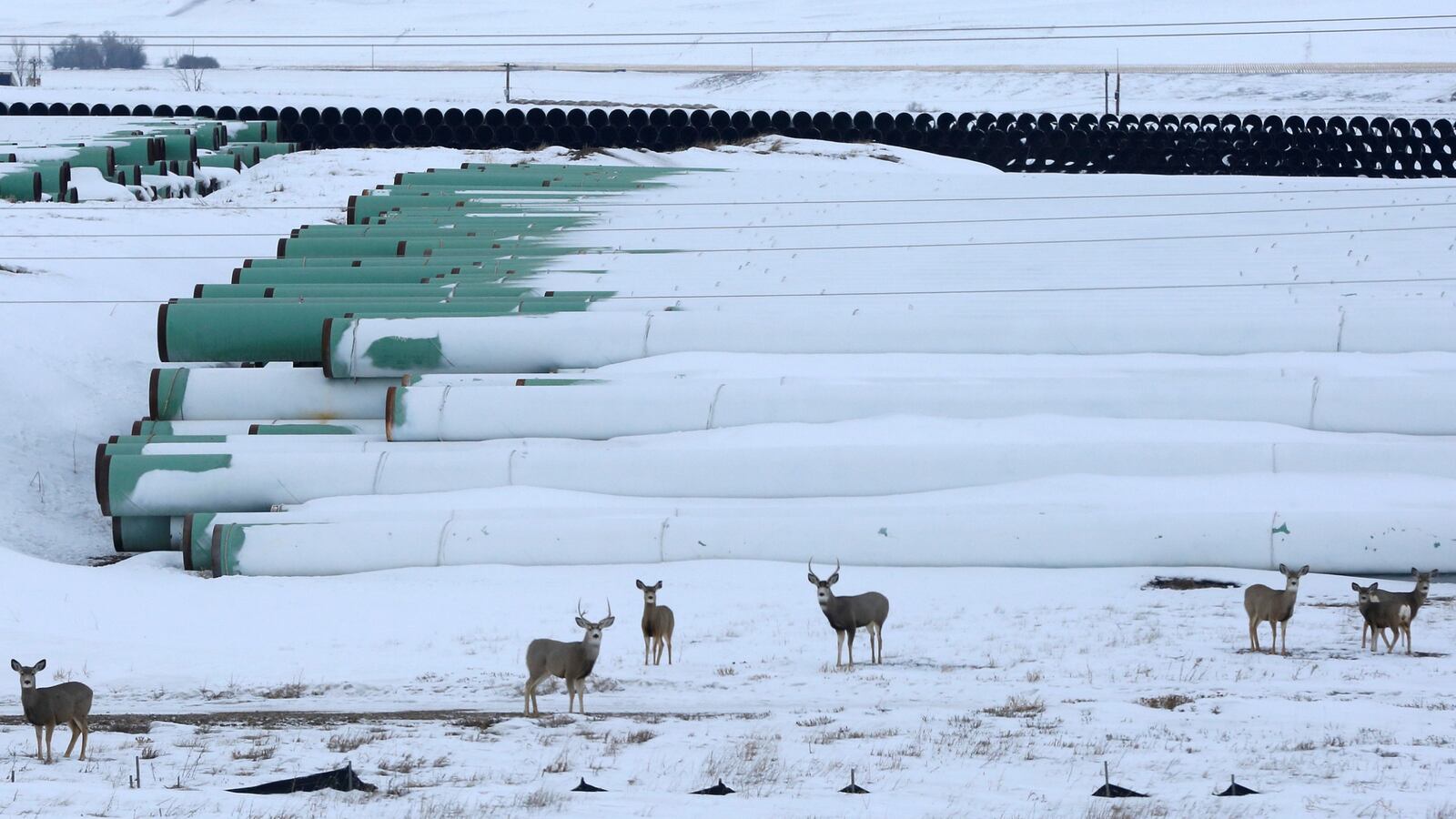 171116-keystone-cheat_ikyt2t