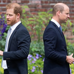 Prince Harry, Duke of Sussex and Prince William, Duke of Cambridge have not spoken in years.