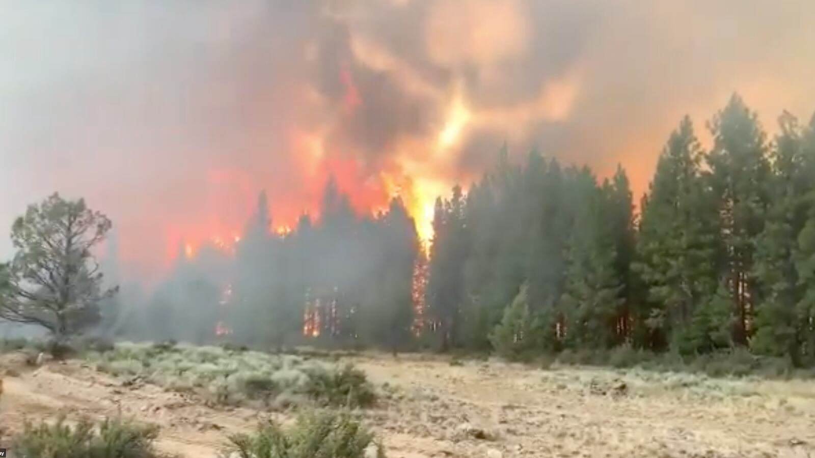 Screen_Shot_2021-07-12_at_11.32.46_vvn5lj