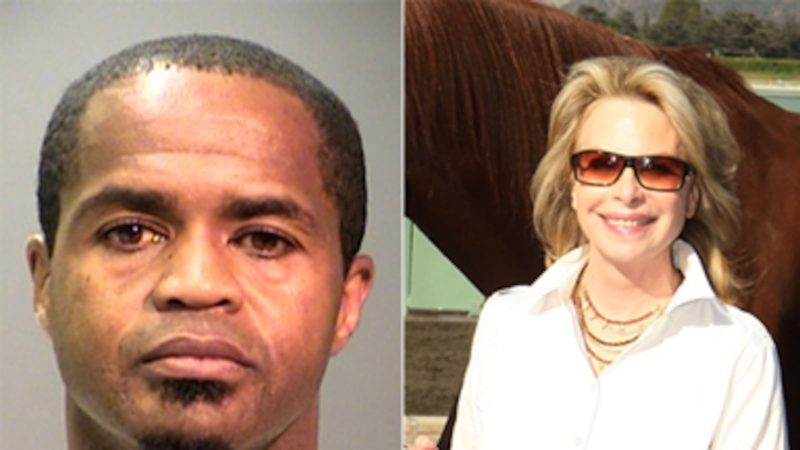 articles/2010/12/15/hollywood-publicist-ronni-chasen-suspect-harold-smiths-hidden-past/bardach-harold-smith_147389_iedguy