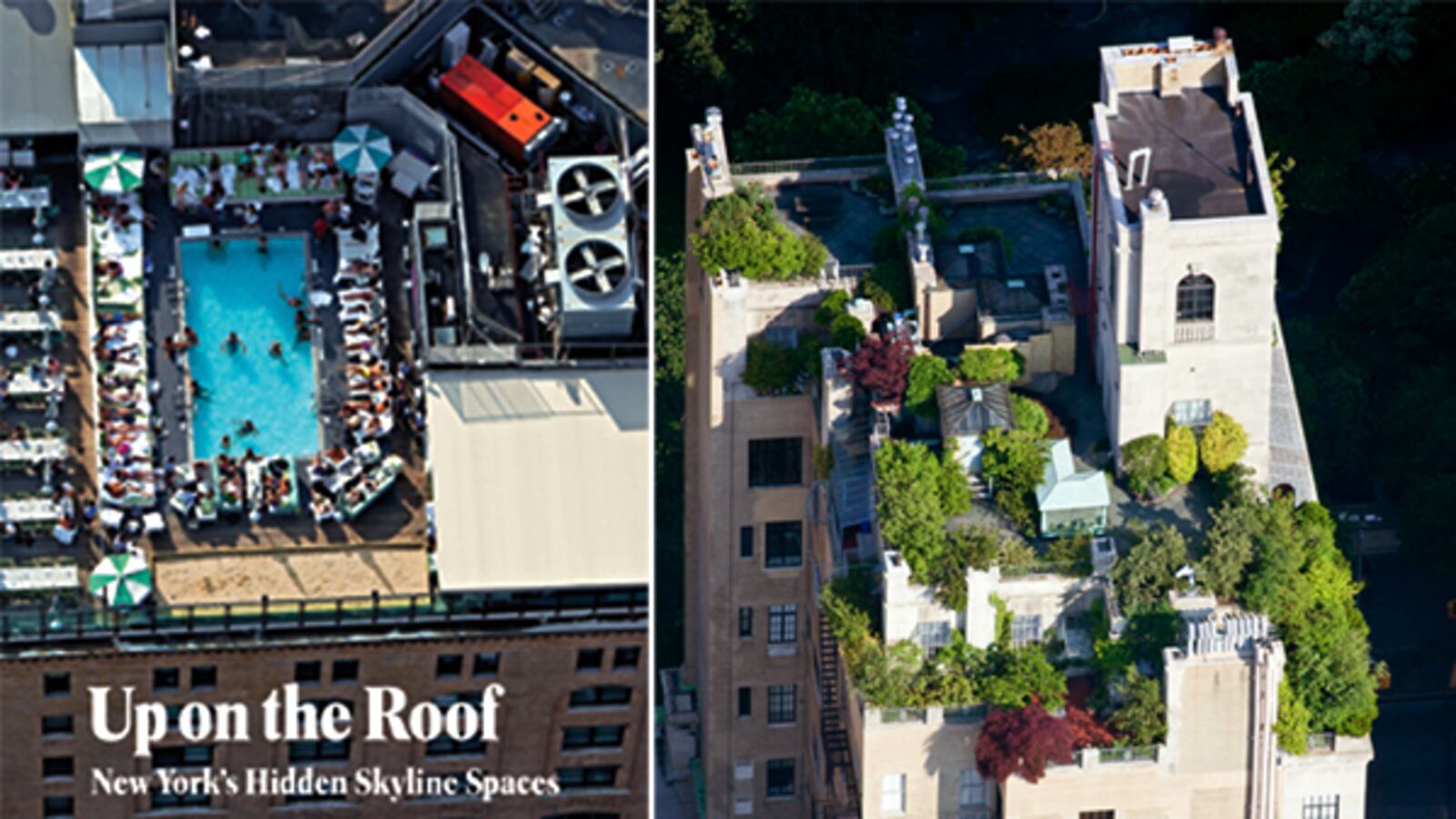 galleries/2012/04/22/earth-day-2012-new-york-rooftop-photos-by-alex-maclean/rooftop-gardens-intro-tease_ty5caa