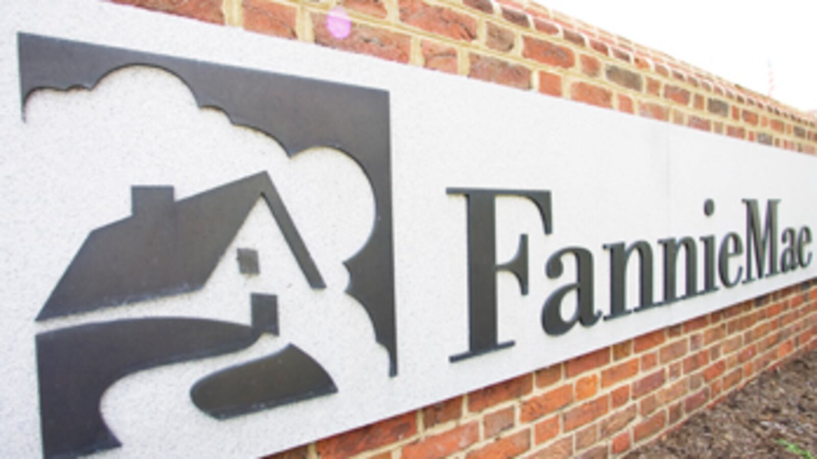 cheats/2011/01/24/taxpayers-foot-fannie-maes-legal-bill/fannie-mae_lhx4wd