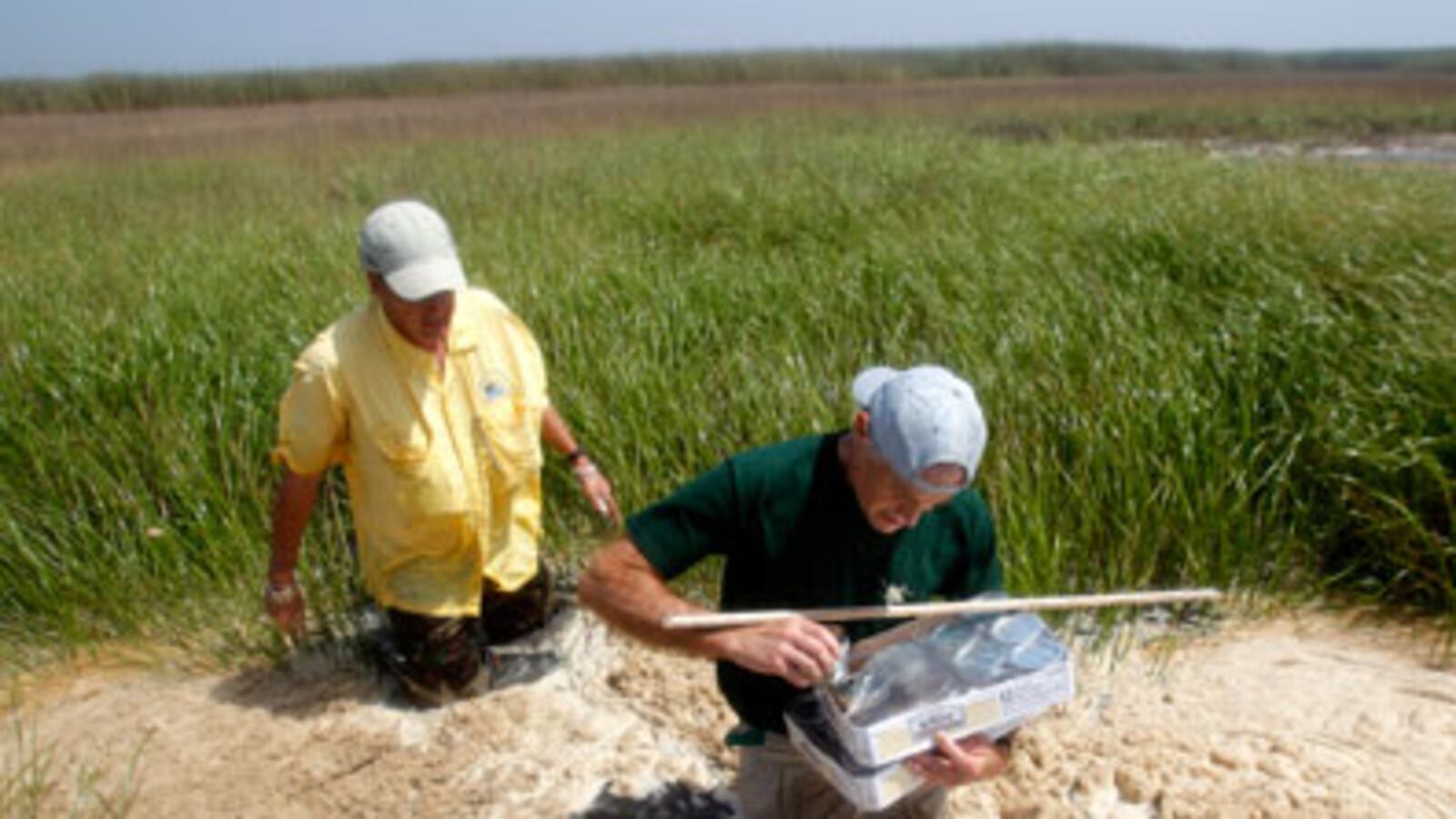 cheats/2010/05/07/oil-leak-threatens-human-health/karl-oil-spill-public-health_98738_wtnqin