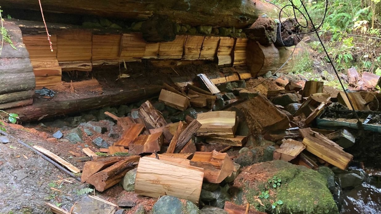 FCzgbQDUYAA54vo_sqaxya