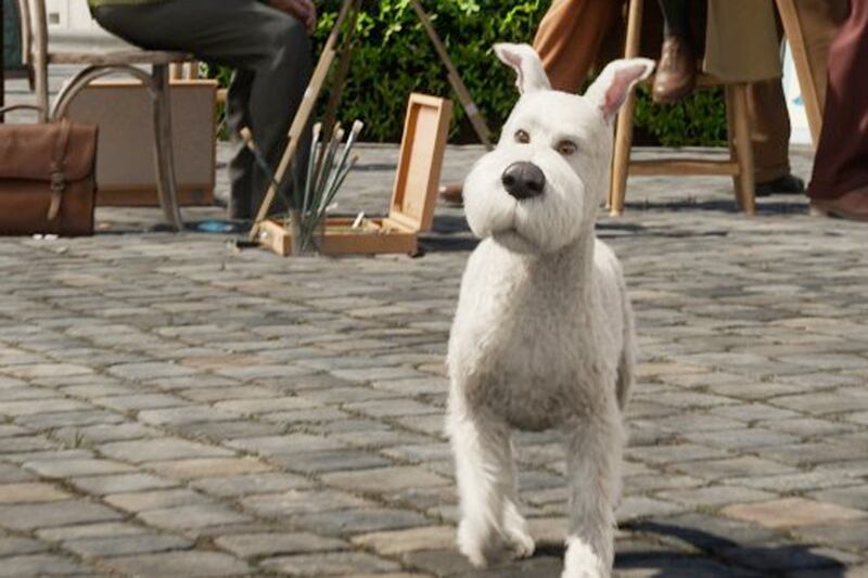 galleries/2011/12/05/uggy-and-other-famous-dogs-of-2011-photos/year-in-dogs-tin-tin_sjgomi