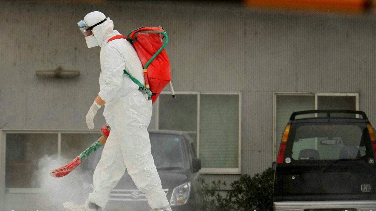 cheats/2012/06/02/hong-kong-boy-has-bird-flu/bird-flu-study-to-be-published-cheat_jmxydo