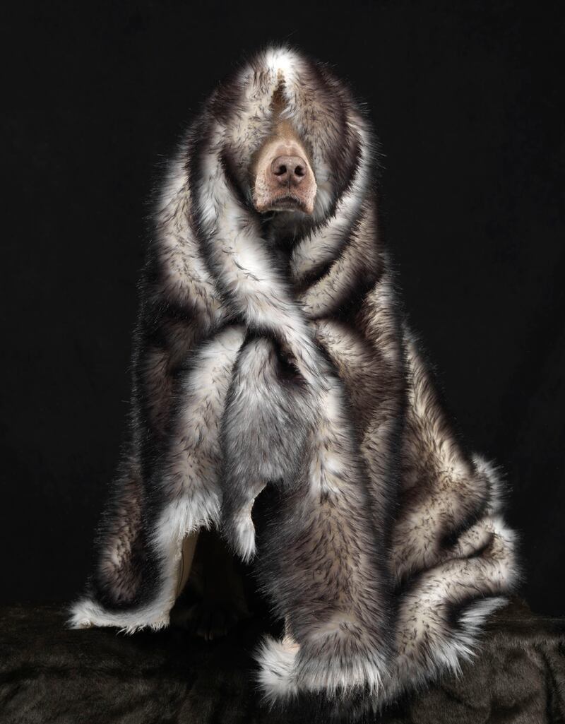 galleries/2012/12/06/2012-gift-guide-for-the-style-savant/guide-art1440_wce3b9