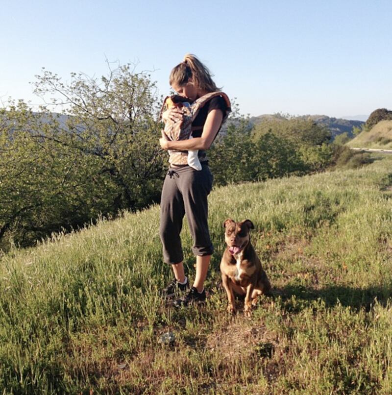 galleries/2013/04/21/kim-kardashian-ke-ha-more-celebrity-twitter-pictures-photos/130418-twit-pics-gisele_wkrgmi