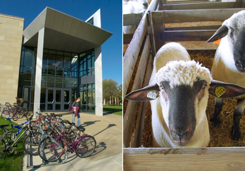 galleries/2010/09/06/hot-college-courses/dzieza-hot-college-courses---oberlin-agriculture_xxhckm