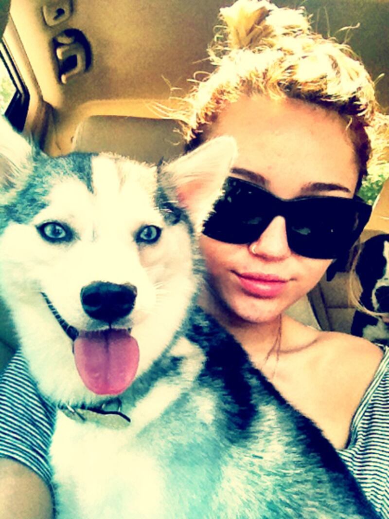 galleries/2012/05/15/britney-spears-lea-michele-more-celebrity-twitter-pictures-photos/twitpics-cyrus_pcdnqz