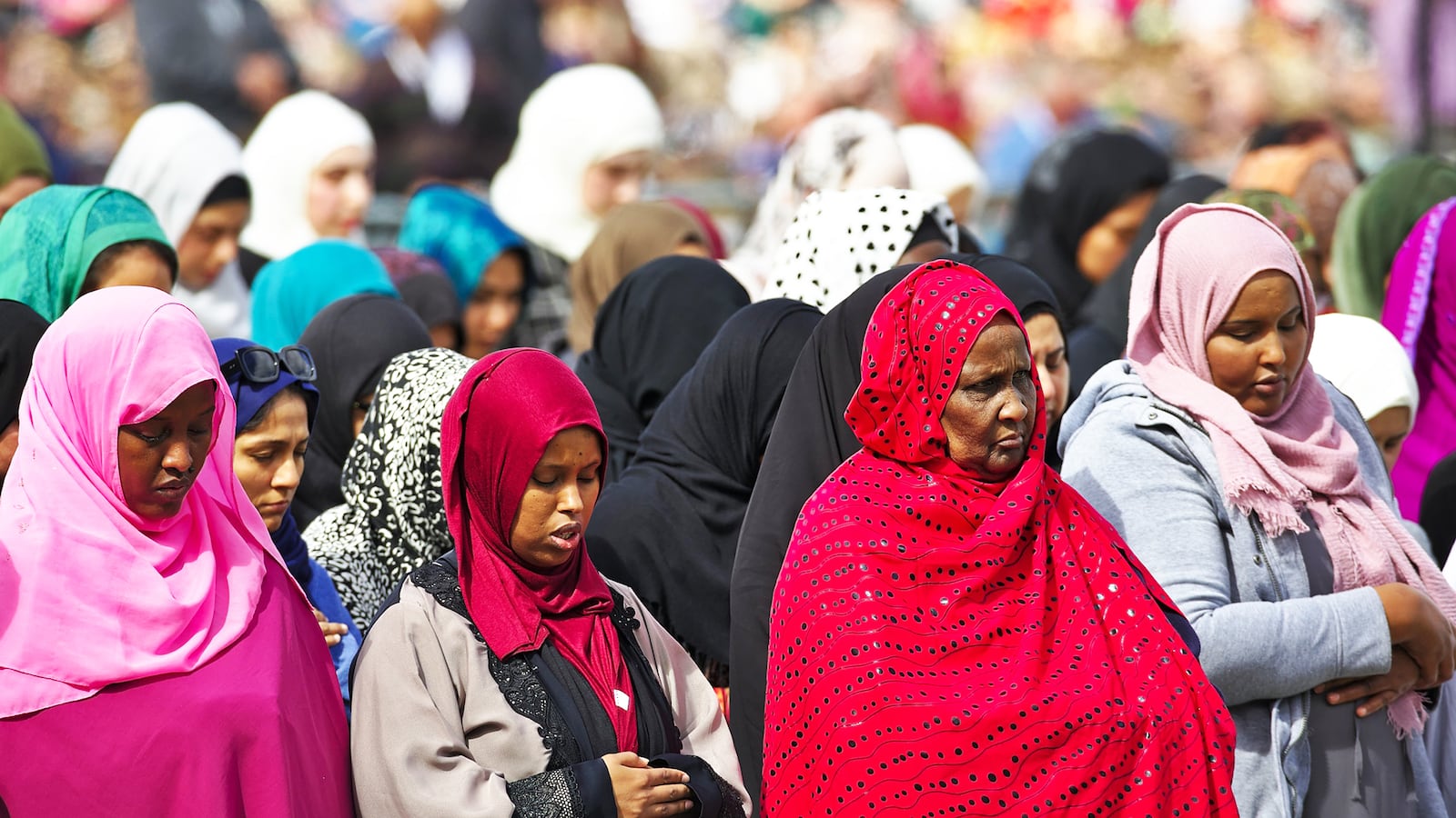 190325-Weill-attacks-spike-after-New-Zealand-tease_dzedic