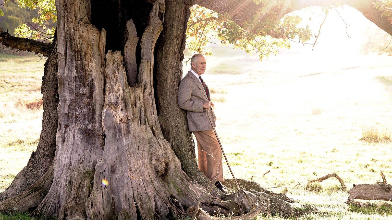 FhhQYNGX0AI03rP_og7ysy