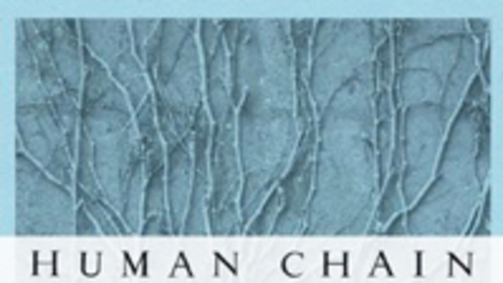 articles/2010/10/15/seamus-heaney-dominic-sandbrook-and-other-tls-reads/stothard-brit-lit-1015---human-chain_qnsdpx