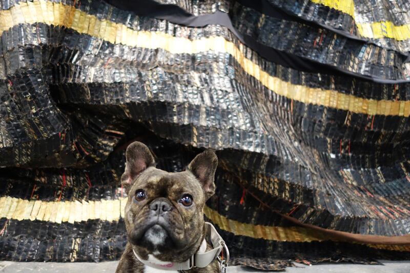 galleries/2015/03/10/meet-pickle-the-art-world-s-favorite-canine-blogger/150309-pickles-art6_dybus3