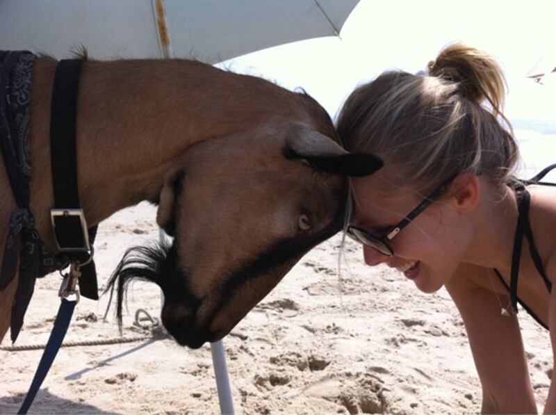 galleries/2010/07/28/best-celebrity-twit-pics/twitpi728---bell_yoqqhg