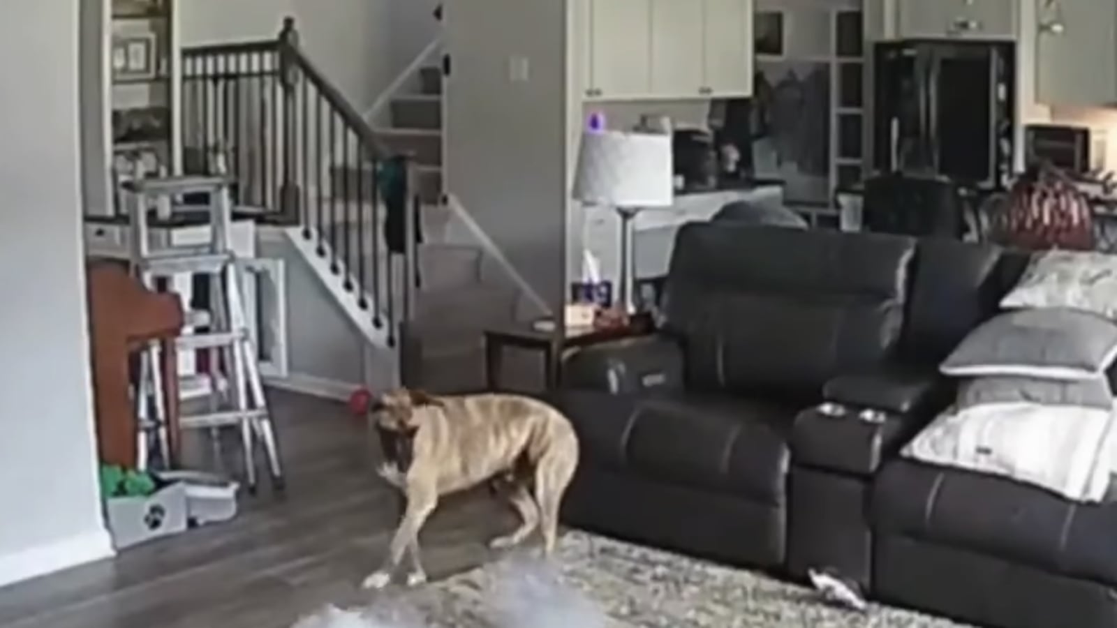 Colton sets house on fire.