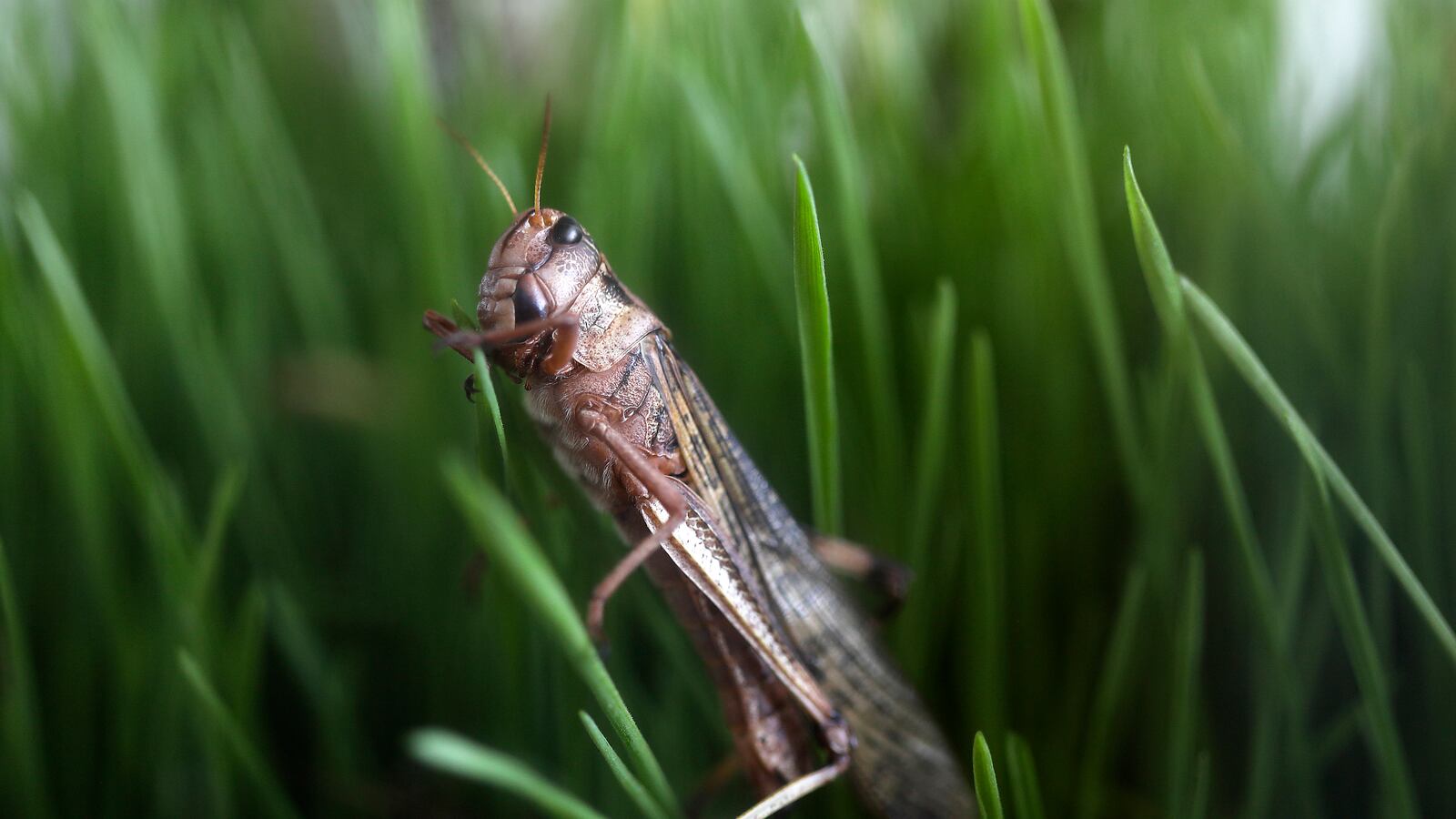 GettyImages-1227885243_vvtmga