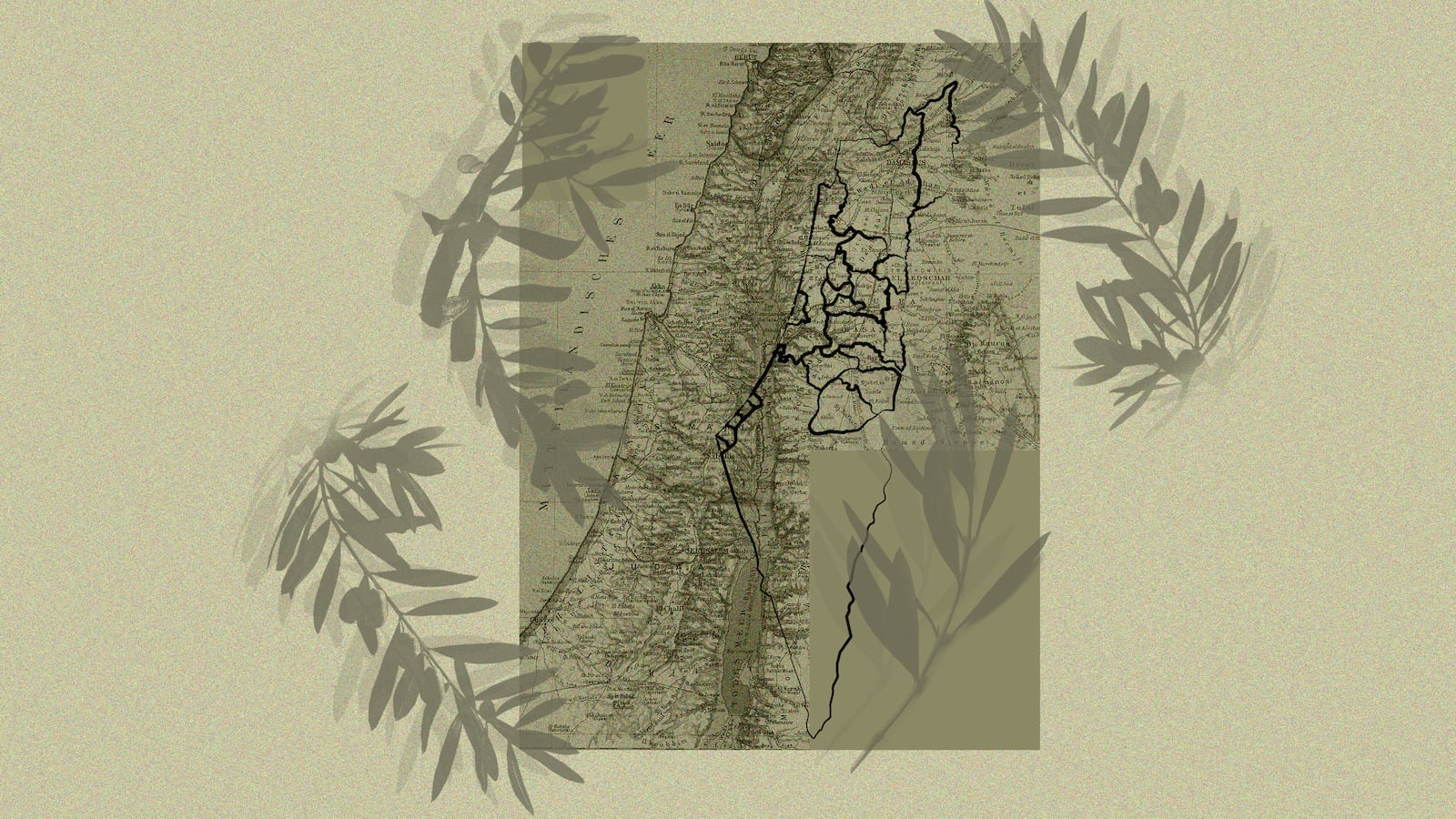 A photo illustration showing olive branches and a map of Palestine and Israel.