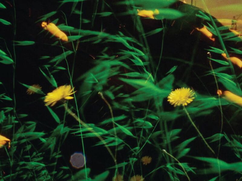 galleries/2012/03/02/whitney-biennial-2012-highlights-photos/whitney-biennial-6_gxxjo9