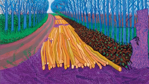 galleries/2009/11/25/david-hockney-s-landscapes/david-hockney-1_q9dxsw