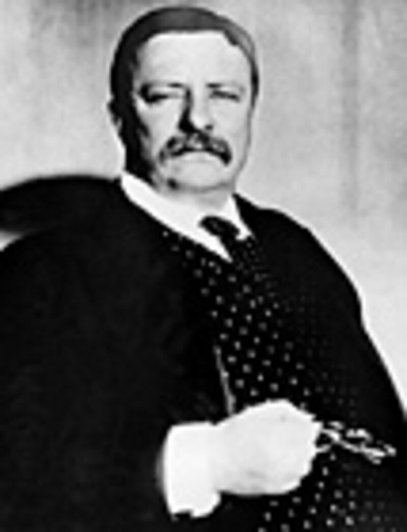 articles/2009/10/13/a-short-history-of-health-care-disasters/sarlin-health-care-disasters---roosevelt_ouudlp