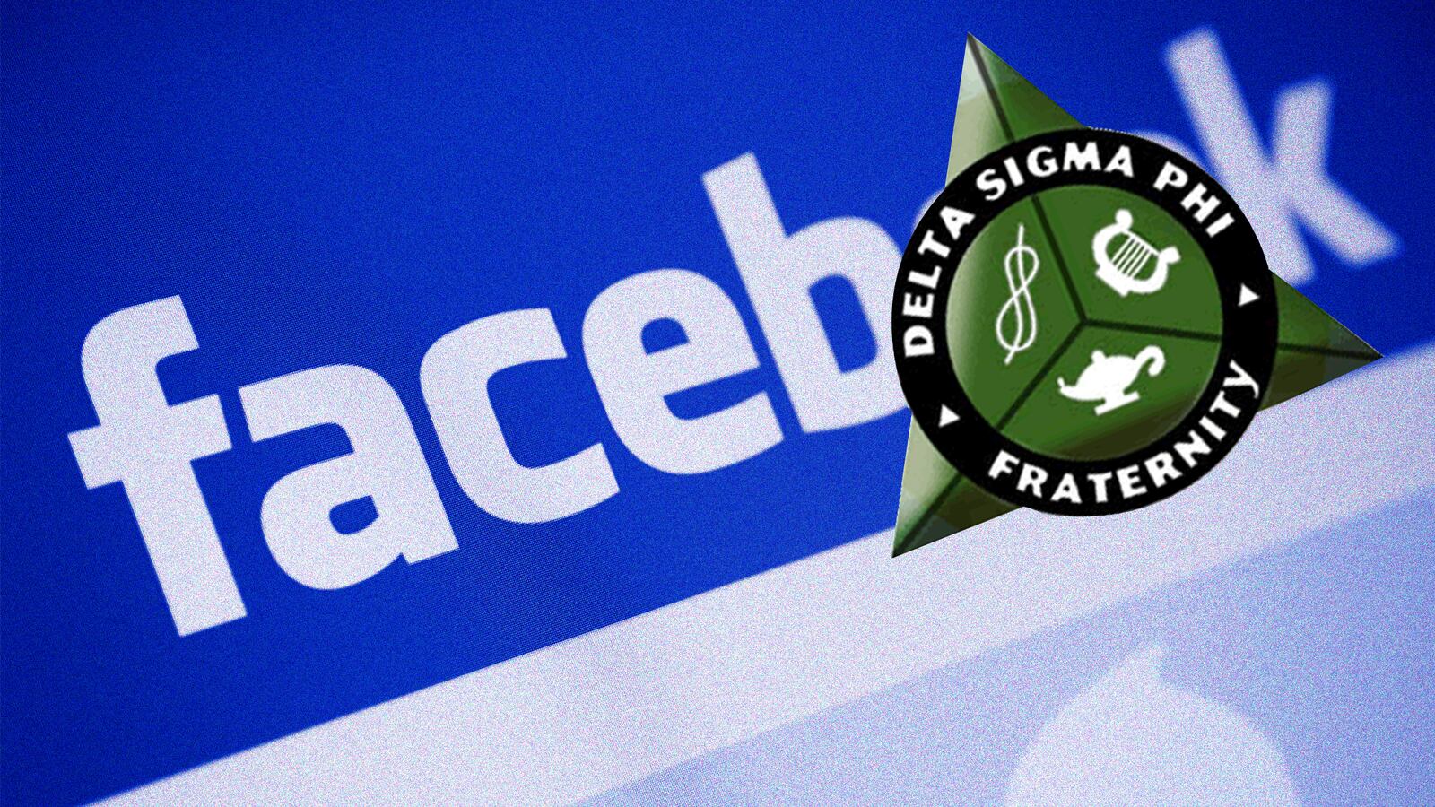 180614-Brown-dog-pound-hero_zxvrcf