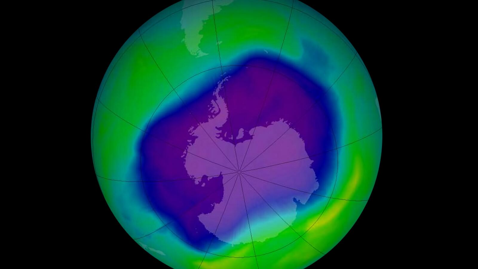 GettyImages-814989712_zaadlu