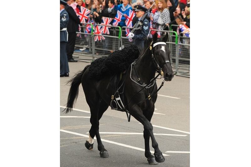 articles/2011/04/29/runaway-bridle/runaway-horse_vwcizq