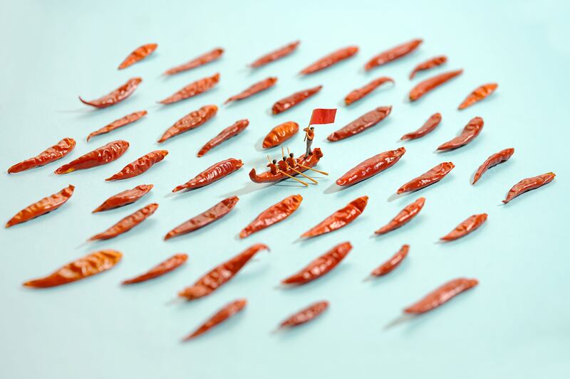 170715-small-wonders-5_zxdm79