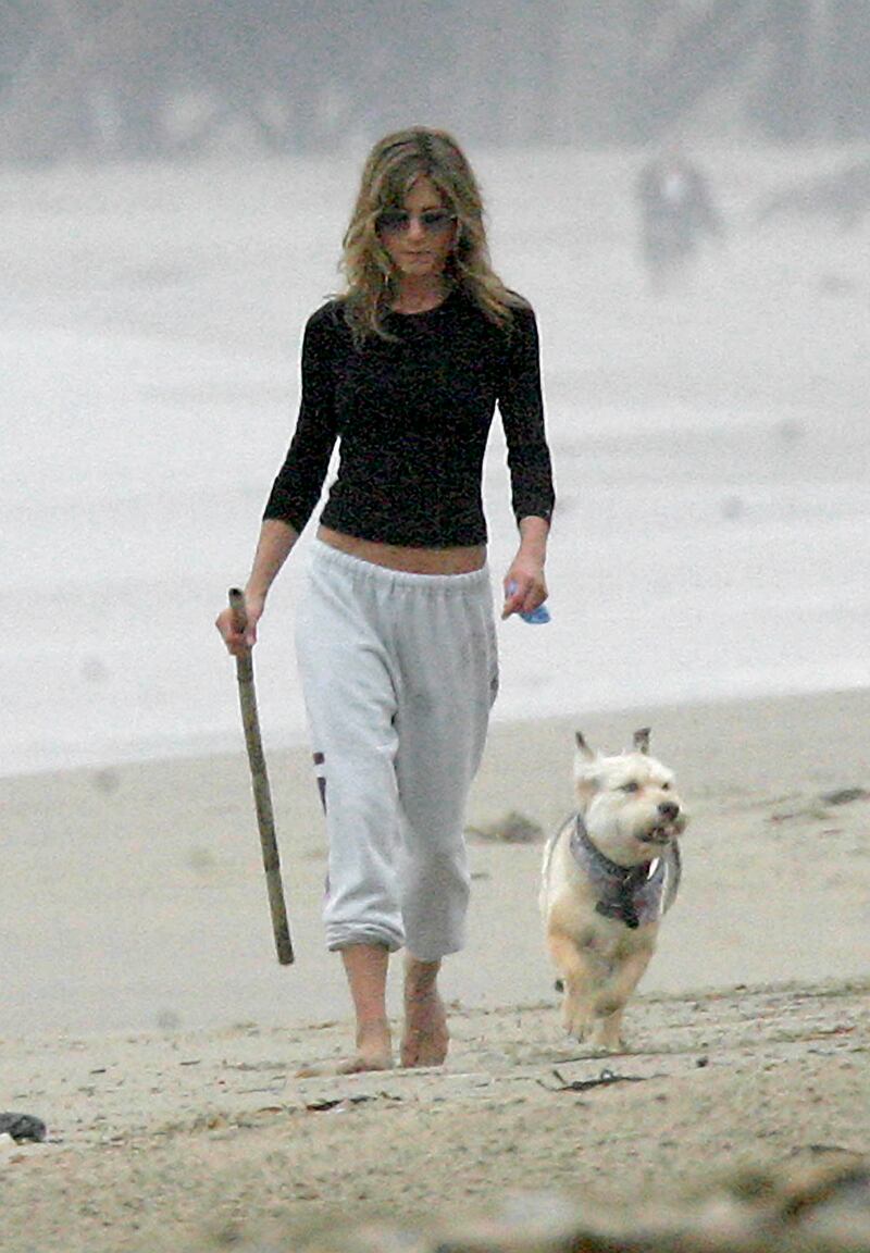 galleries/2012/11/03/blake-lively-usher-more-celebrities-crazy-about-their-dogs-photos/jennifer-aniston-celeb-dogs_ze5sn4