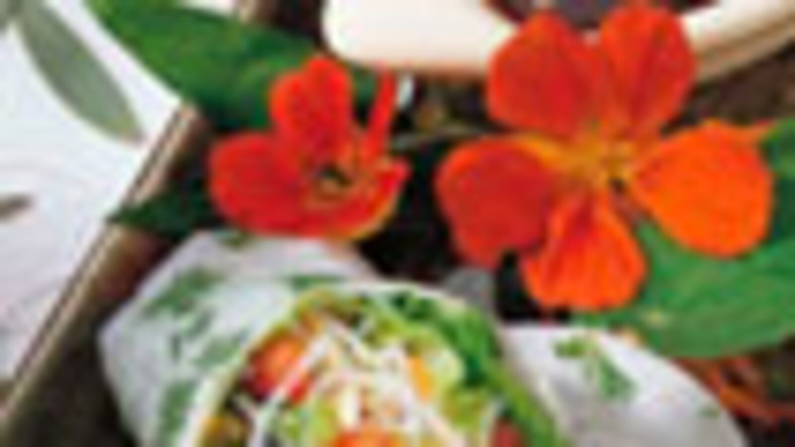 articles/2010/01/12/what-to-eat-southeast-asian-menu/what-to-eat---spring-rolls-3_uhxwzc