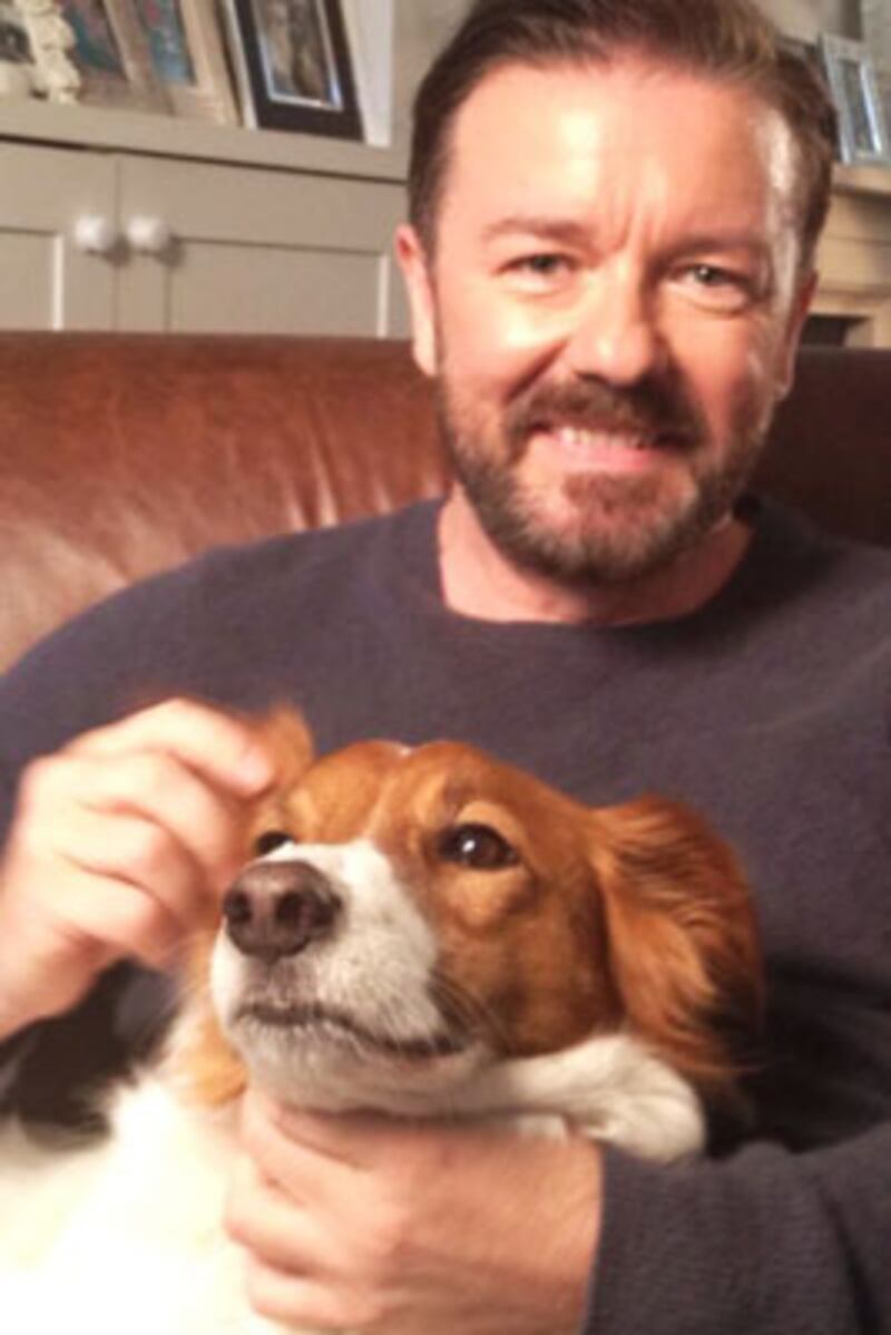 galleries/2012/07/29/barack-obama-lady-gaga-more-celebrity-twitter-pictures-photos/twitpics-120726-gervais_k6xojx