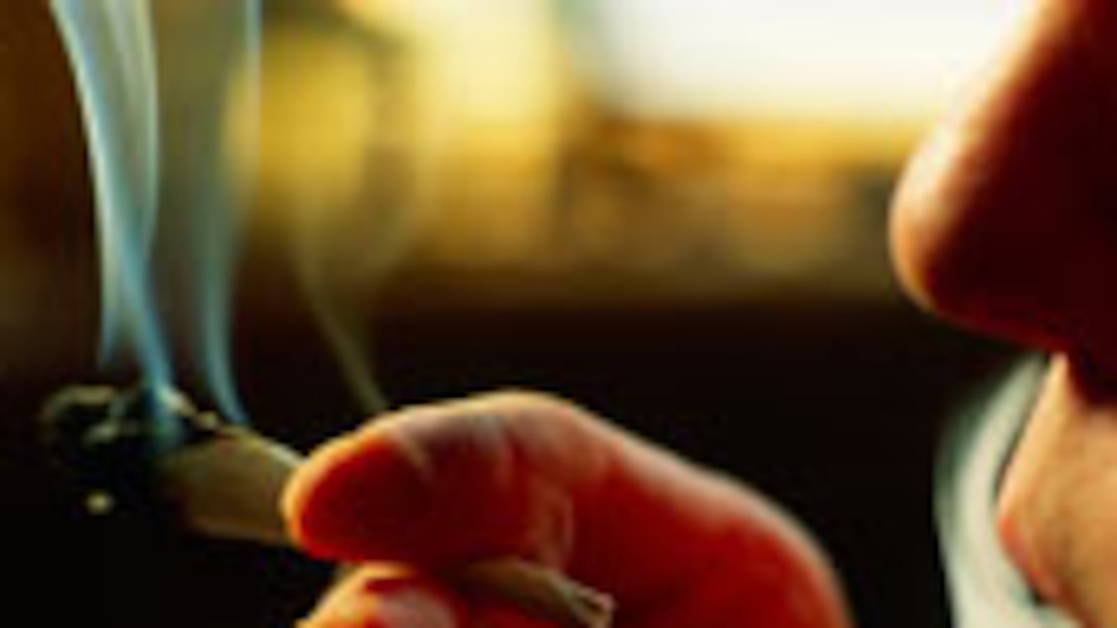 articles/2010/08/19/new-site-seshroulette-is-chatroulette-for-pot-smokers/ries-stoner_121248_bsf7mt